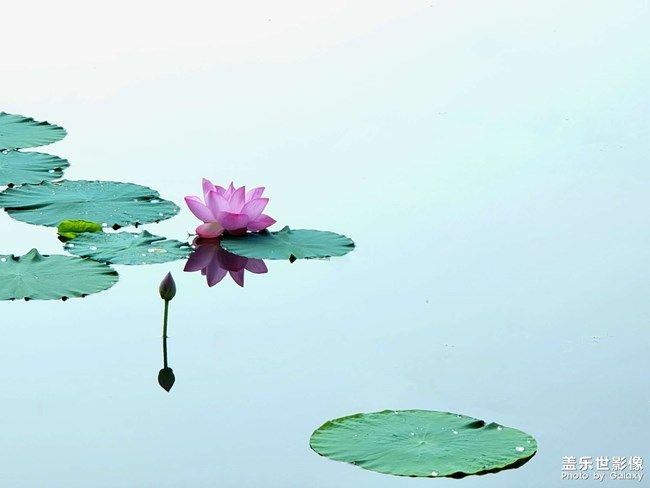 《每周星鮮事》 第97期:三星Galaxy S22系列試用計(jì)劃開啟