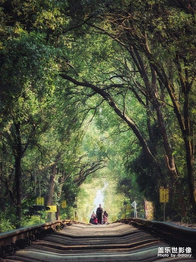 《每周星鮮事》 第97期:三星Galaxy S22系列試用計(jì)劃開啟