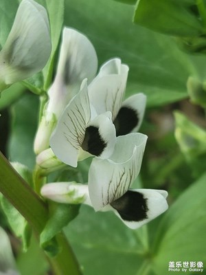 花??花??????????花??花??花花花花花花