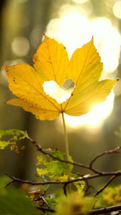 S21U移動(dòng)熱點(diǎn)共享最大漏洞希望4.1后能改善