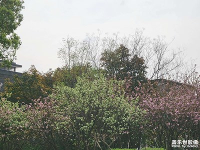 校園