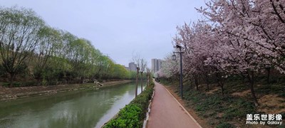 【春光好】春風(fēng)又綠河兩岸