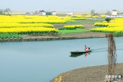 [春光好]水鄉(xiāng)春色