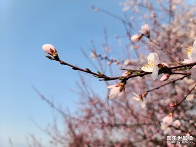 春天氣息