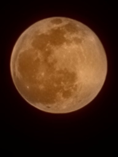 春雪與花色月亮