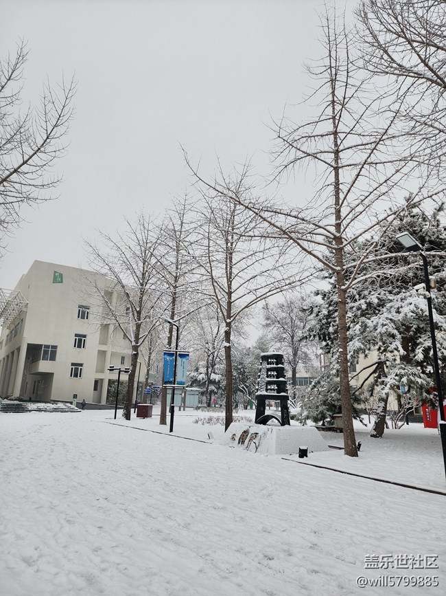 春雪與花色月亮