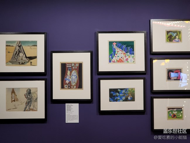 帶上Galaxy S22 與愛麗絲開啟一場神奇的冒險(xiǎn)之旅吧！