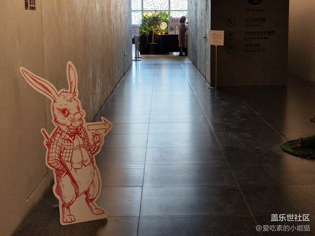 帶上Galaxy S22 與愛麗絲開啟一場神奇的冒險(xiǎn)之旅吧！