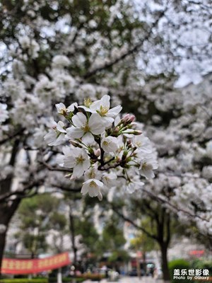 再不解封春天都過(guò)去了