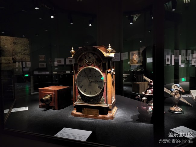 帶上Galaxy S22 與愛麗絲開啟一場神奇的冒險(xiǎn)之旅吧！