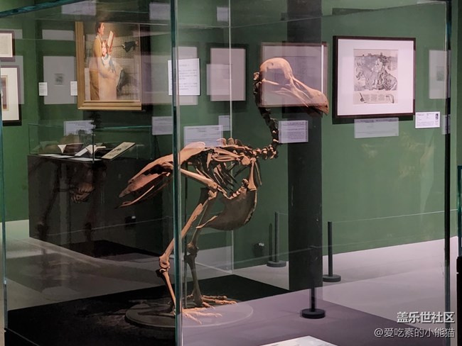 帶上Galaxy S22 與愛麗絲開啟一場神奇的冒險(xiǎn)之旅吧！