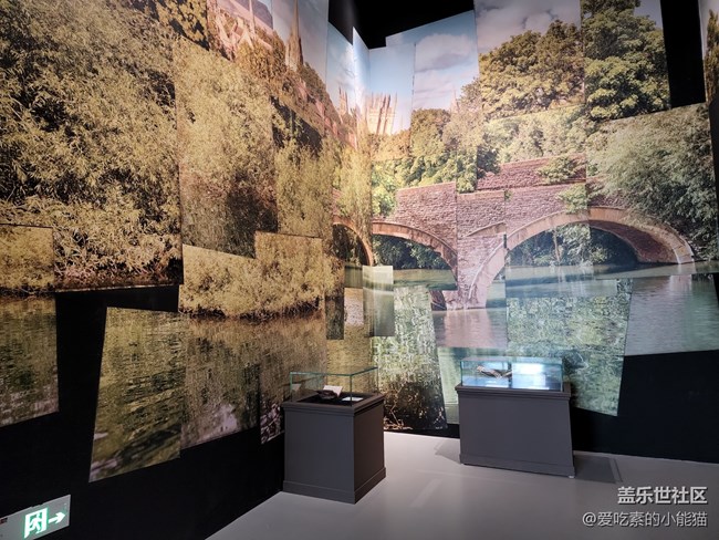 帶上Galaxy S22 與愛麗絲開啟一場神奇的冒險(xiǎn)之旅吧！