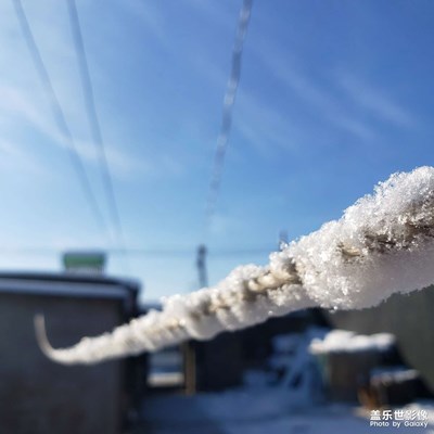 【春光好】＋認(rèn)真的雪