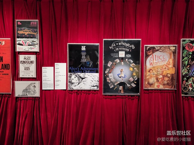 帶上Galaxy S22 與愛麗絲開啟一場神奇的冒險(xiǎn)之旅吧！