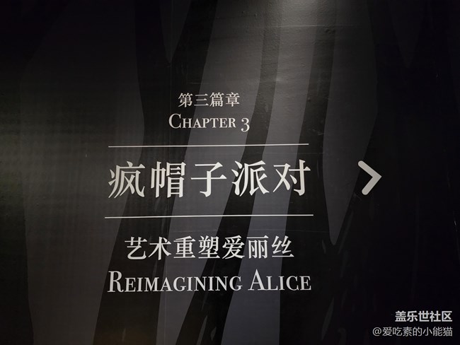 帶上Galaxy S22 與愛麗絲開啟一場神奇的冒險(xiǎn)之旅吧！