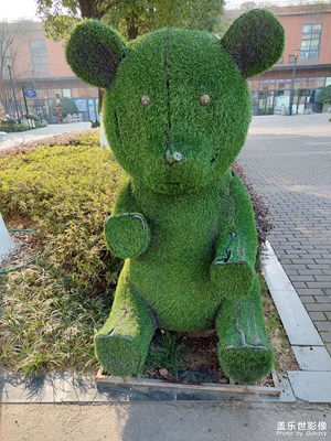 可愛(ài)的園藝