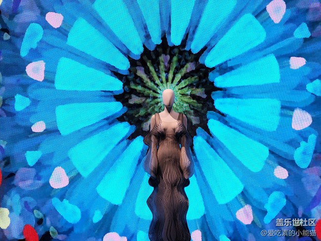 帶上Galaxy S22 與愛麗絲開啟一場神奇的冒險(xiǎn)之旅吧！