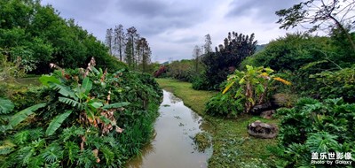 山清水秀