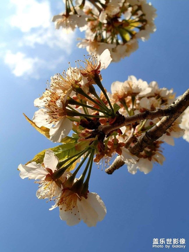 《每周星鮮事》 第98期:Galaxy A53 5G新品上市 預(yù)先登記