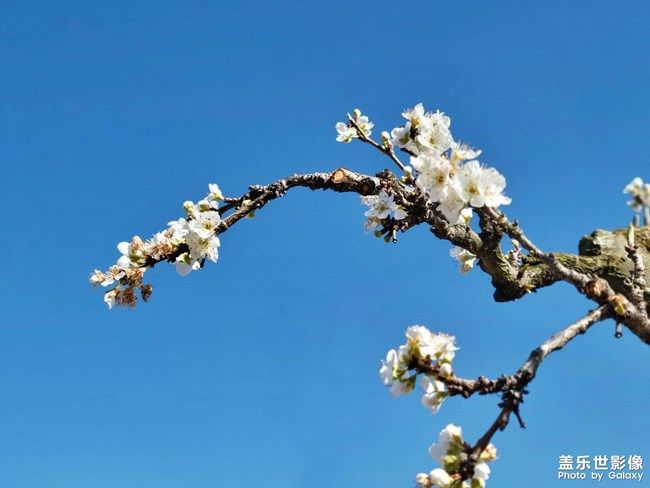 《每周星鮮事》 第98期:Galaxy A53 5G新品上市 預(yù)先登記