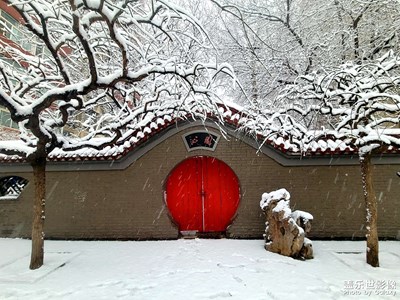 沁園春雪