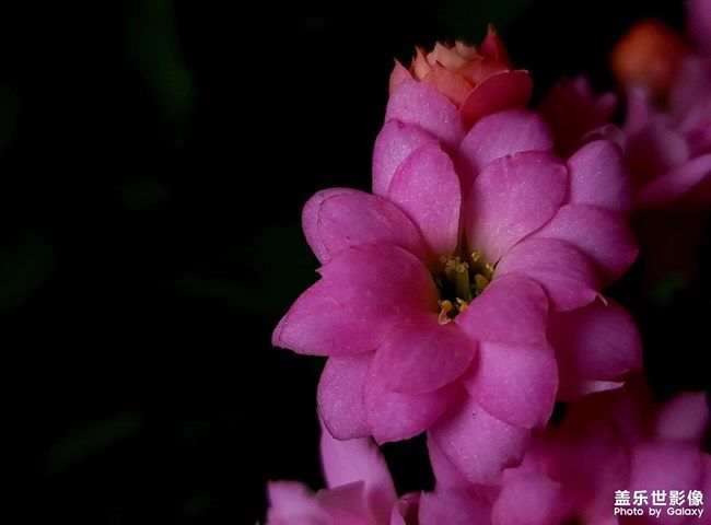 《每周星鮮事》 第98期:Galaxy A53 5G新品上市 預(yù)先登記