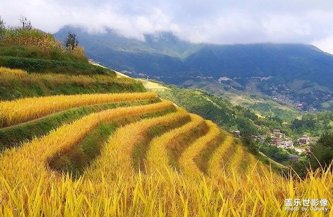 《每周星鮮事》 第98期:Galaxy A53 5G新品上市 預(yù)先登記