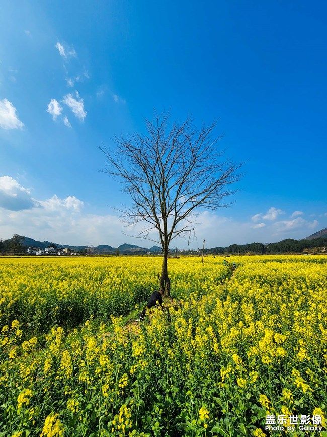 《每周星鮮事》 第98期:Galaxy A53 5G新品上市 預(yù)先登記