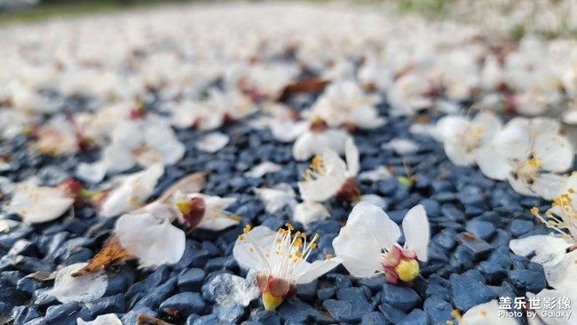 《每周星鮮事》 第98期:Galaxy A53 5G新品上市 預(yù)先登記