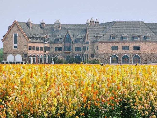 《每周星鮮事》 第98期:Galaxy A53 5G新品上市 預(yù)先登記