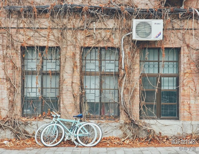 【Galaxy S22系列曬單/曬機(jī)】之當(dāng)我擁有一臺三星S系列手機(jī)