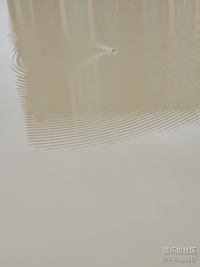 【Galaxy S22系列曬單/曬機(jī)】真不錯