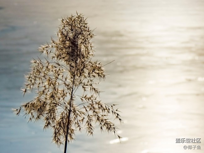 【Galaxy S22系列曬單/曬機(jī)】之當(dāng)我擁有一臺三星S系列手機(jī)