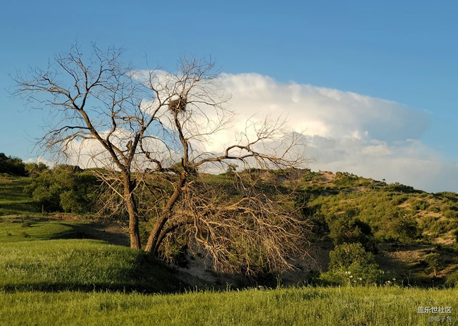 【Galaxy S22系列曬單/曬機(jī)】之當(dāng)我擁有一臺三星S系列手機(jī)