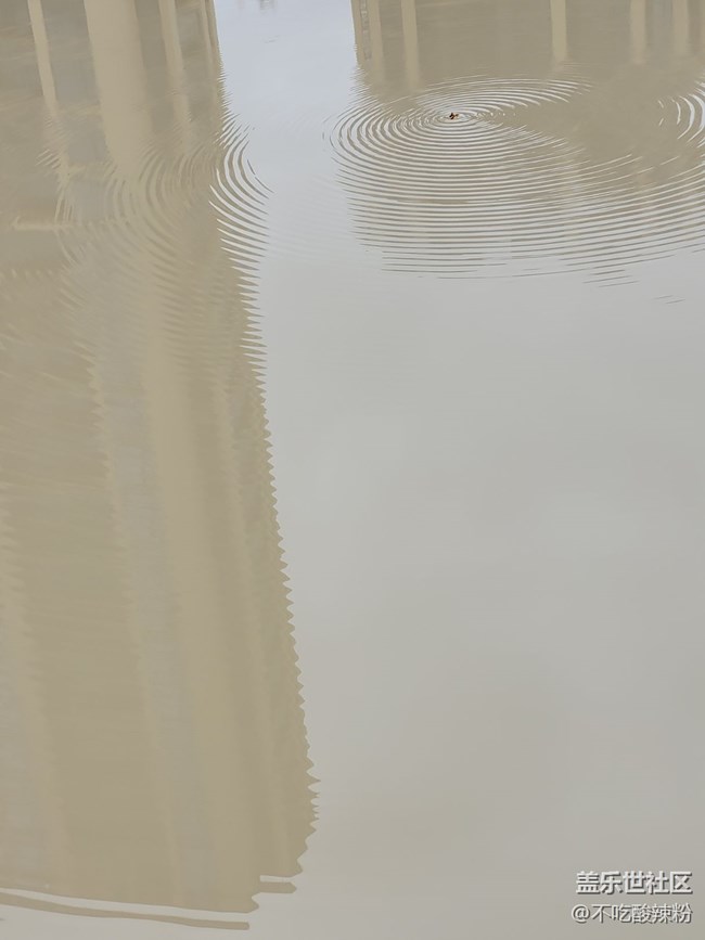 【Galaxy S22系列曬單/曬機(jī)】真不錯