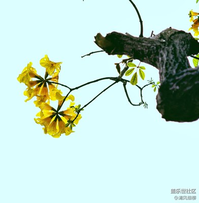 【熱愛生活】+遠(yuǎn)近高低記憶照片