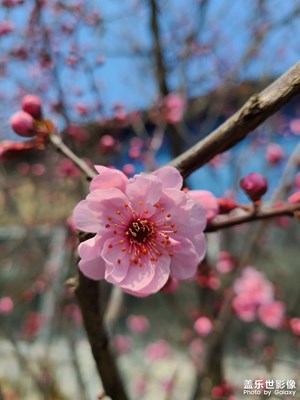 春暖花開(kāi)，疫情還在，哎