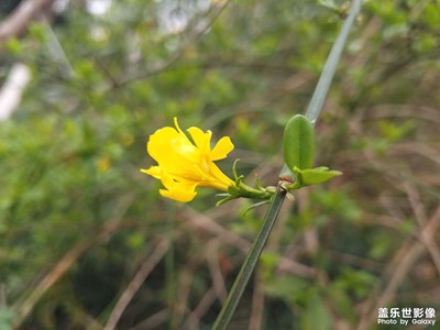 【熱愛(ài)生活】+春來(lái)了