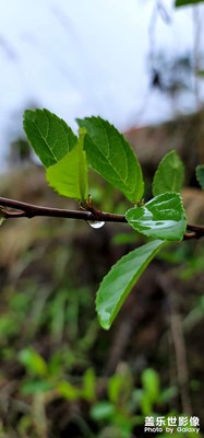 雨后
