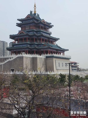 春天隨拍
