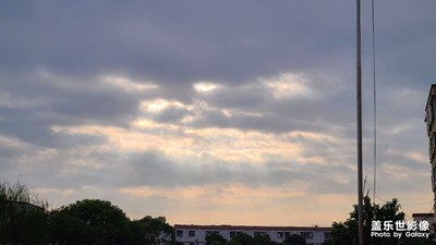 每日照片分享