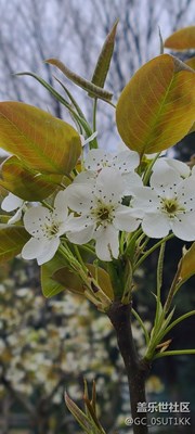 春暖花開
