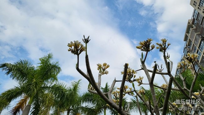 適合拍照和出行，便攜超級棒的手機