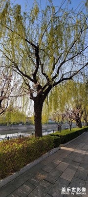 隨手拍