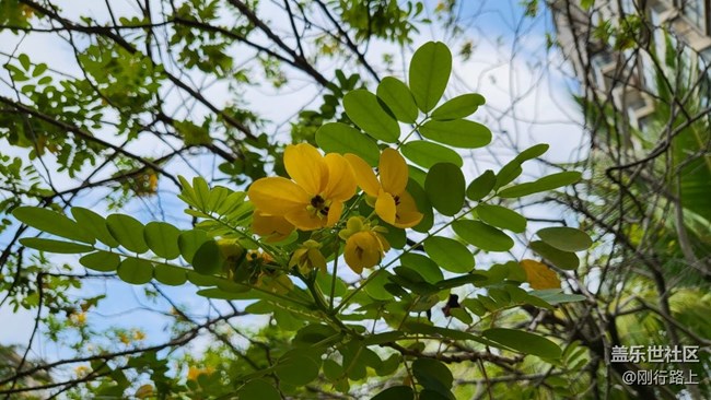 適合拍照和出行，便攜超級棒的手機