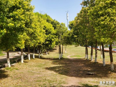 靜觀－臺農(nóng)園