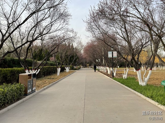 已開(kāi)獎(jiǎng)【Note版四月第1周】繪畫(huà)能手