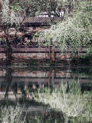 [熱愛生活]＋成都人民公園