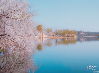 Galaxy S22 Ultra  粉色的清晨