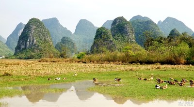 【人間四月】+秀美靈川